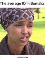 the-average-iq.jpg