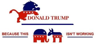 lion-101.jpg lion-101.jpg