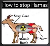 hamass.JPG