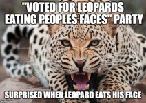 leopards.jpg