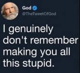 1767981909679.png 1767981909679.png