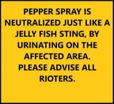 1768919248461.png 1768919248461.png