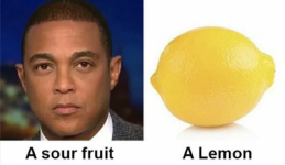 1769006589368.png 1769006589368.png