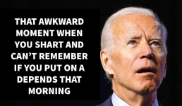 1769989215160.png 1769989215160.png