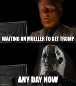 muellertrump.jpg