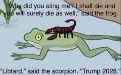 1771113379232.png 1771113379232.png