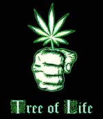 img_1_1688845753727.jpg img_1_1688845753727.jpg