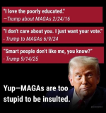 1771423383230.png 1771423383230.png