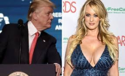 1771436933177.png 1771436933177.png