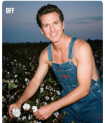 1771981297492.png 1771981297492.png