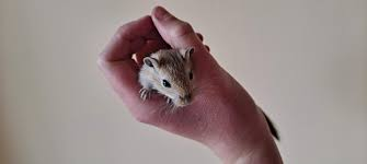 1772045894291.png 1772045894291.png