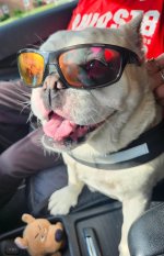 Resized(1752795417219)_Resized_20250717_171621 (1).jpeg