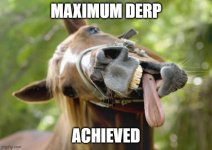 derp1.jpg