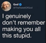 1774361019579.png 1774361019579.png