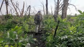 1000089840.jpg 1000089840.jpg