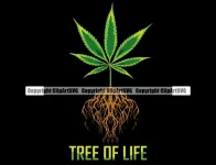 448cc545-3914-4a08-89ff-4711f4ace28a_570x438.webp 448cc545-3914-4a08-89ff-4711f4ace28a_570x438.webp