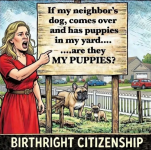 1775851820030.png 1775851820030.png