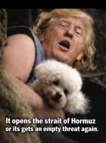 IMG_4461.jpeg IMG_4461.jpeg