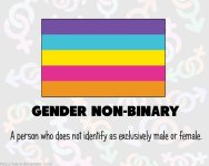 rainbow_flags__gender_non_binary_by_adcro_d9384tg-fullview.jpg