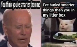 1777379482051.png