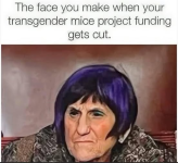 1777815814552.png