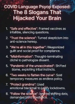 1777897296886.png