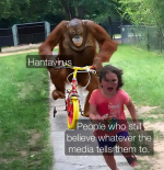 1778245706545.png