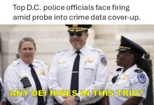 1778246384698.png