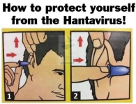 1778503427630.png