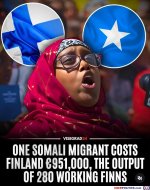 the-left-is-so-stupid.jpg
