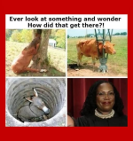 1778766433563.png