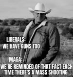 libs have guns.jpg